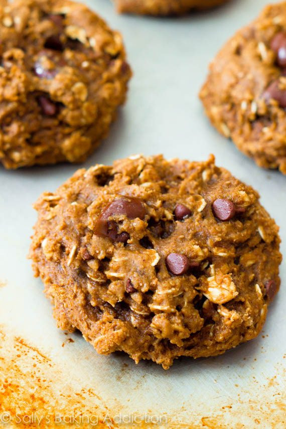 Low Fat Low Sugar Cookies
 Healthy Oatmeal Raisinet Cookies Sallys Baking Addiction