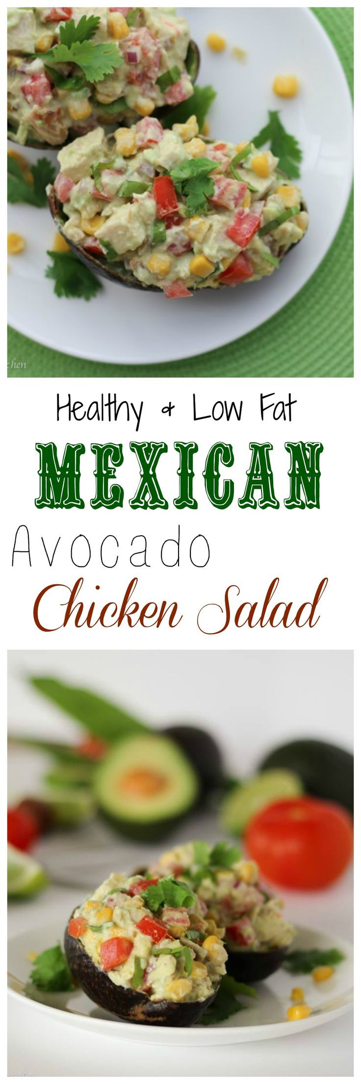 Low Fat Mexican Recipes
 Healthy Low Fat Mexican Avocado Chicken Salad