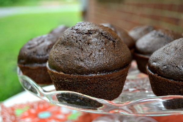 Low Fat Muffin Recipes
 Chocolate zucchini muffins