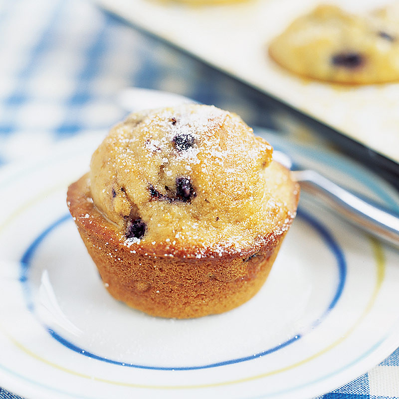 Low Fat Muffin Recipes
 Low Fat Blueberry Muffins