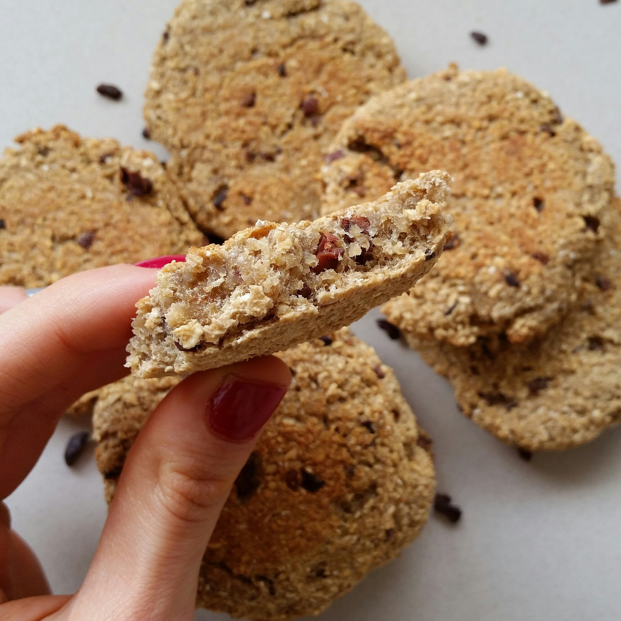 Low Fat Oatmeal Chocolate Chip Cookies
 Low Fat Oatmeal Chocolate Chip Cookies Recipe — Dishmaps