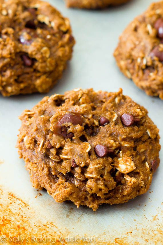 Low Fat Oatmeal Cookies With Applesauce
 Healthy Oatmeal Raisinet Cookies Sallys Baking Addiction