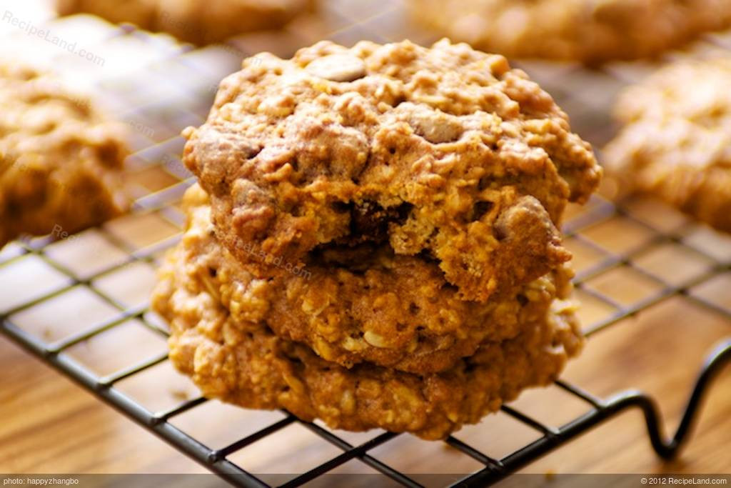 Low Fat Oatmeal Cookies With Applesauce
 applesauce oatmeal chocolate chip cookies
