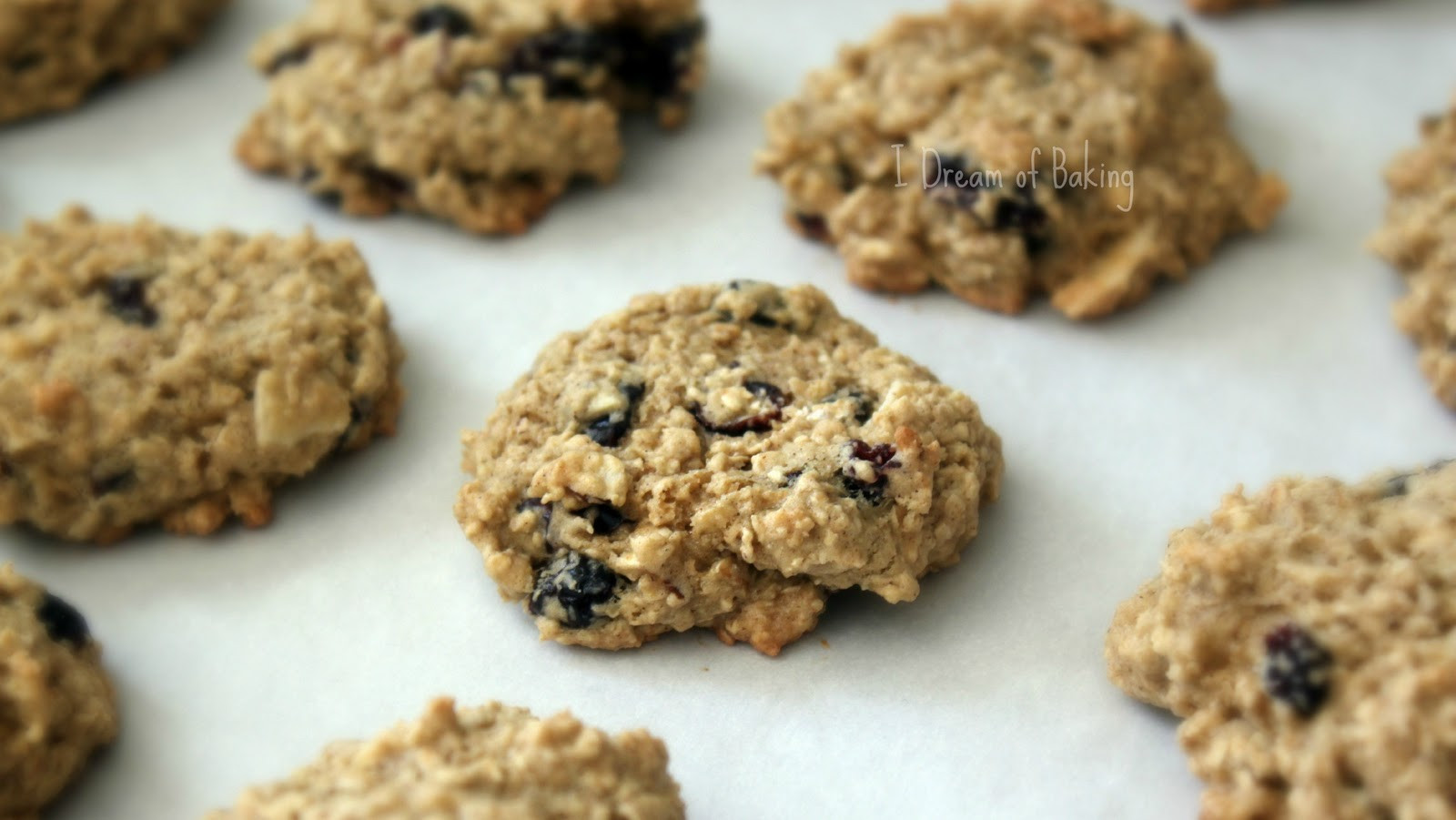 Low Fat Oatmeal Cookies With Applesauce
 Baker s Corner Low Fat Oatmeal Cookies Habibi Halaqas