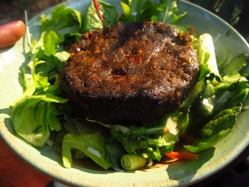 Low Fat Raw Vegan Recipes
 Raw Vegan Veggie Burger recipe Low fat raw vegan