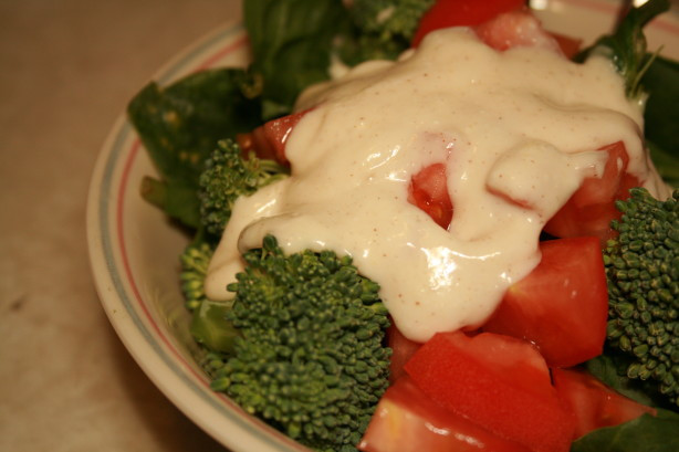 Low Fat Salad Dressing Recipes
 Low Fat Sugar Free And Non Dairy Caesar Salad Dressing