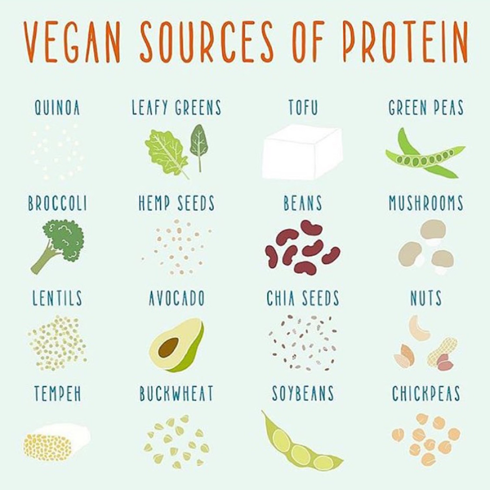 Low Fat Vegetarian Protein
 Protein on a low FODMAP Vegan Diet