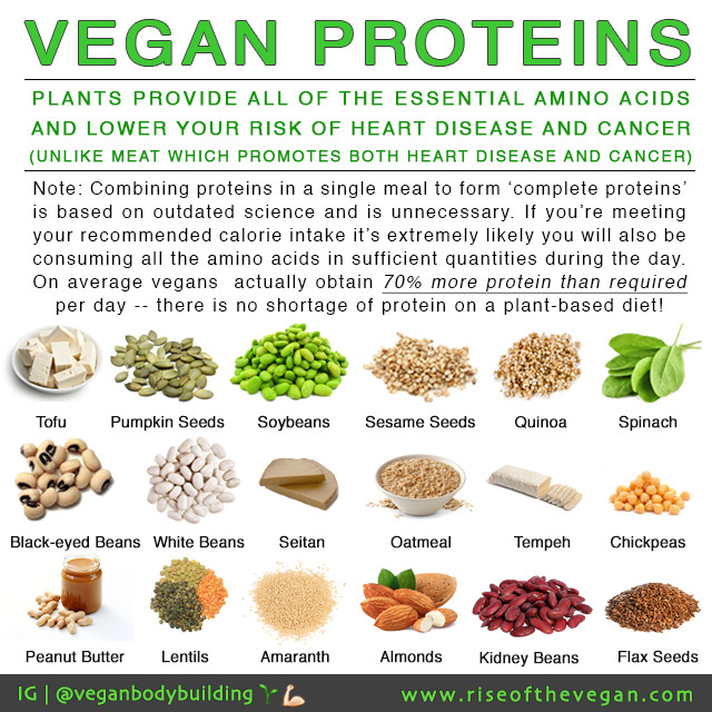 Low Fat Vegetarian Protein
 "But where do you your protein "