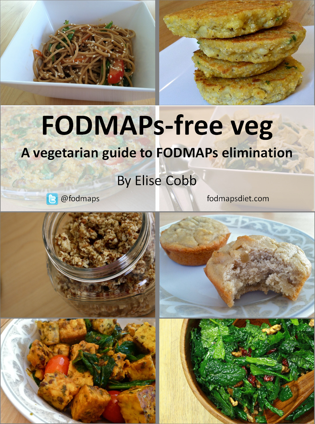 Low Fodmap Vegetarian Recipes
 Low Fodmap Ve arian Dinner Recipes – Dandk Organizer