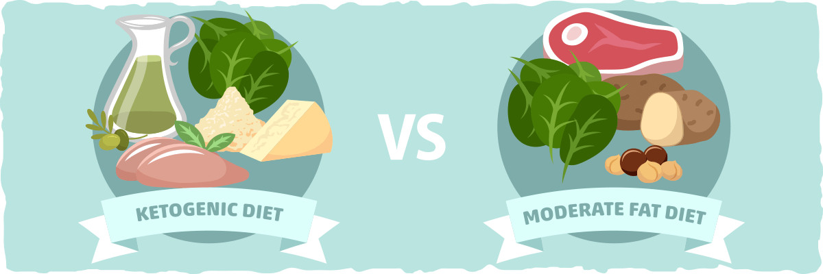 Moderate Keto Diet
 The Ketogenic Diet and Insulin Resistance