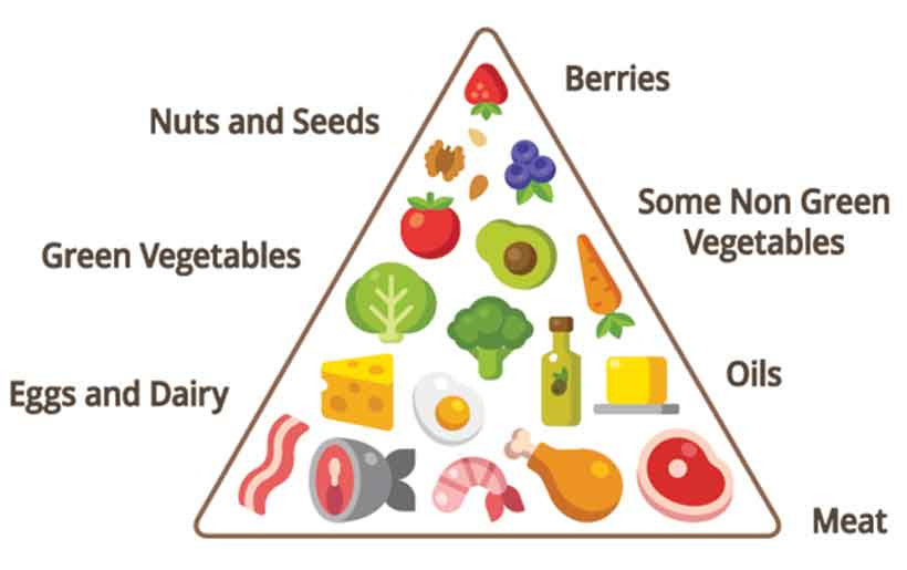 Moderate Keto Diet
 Keto Beginner s Guide and FAQ