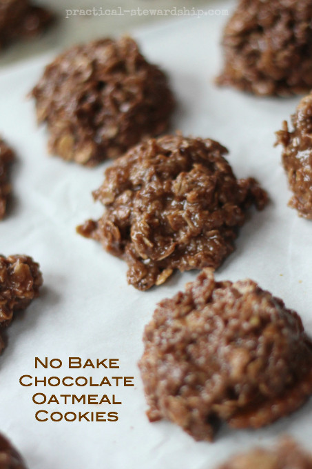 No Bake Vegan Oatmeal Cookies
 vegan no bake chocolate oatmeal cookies