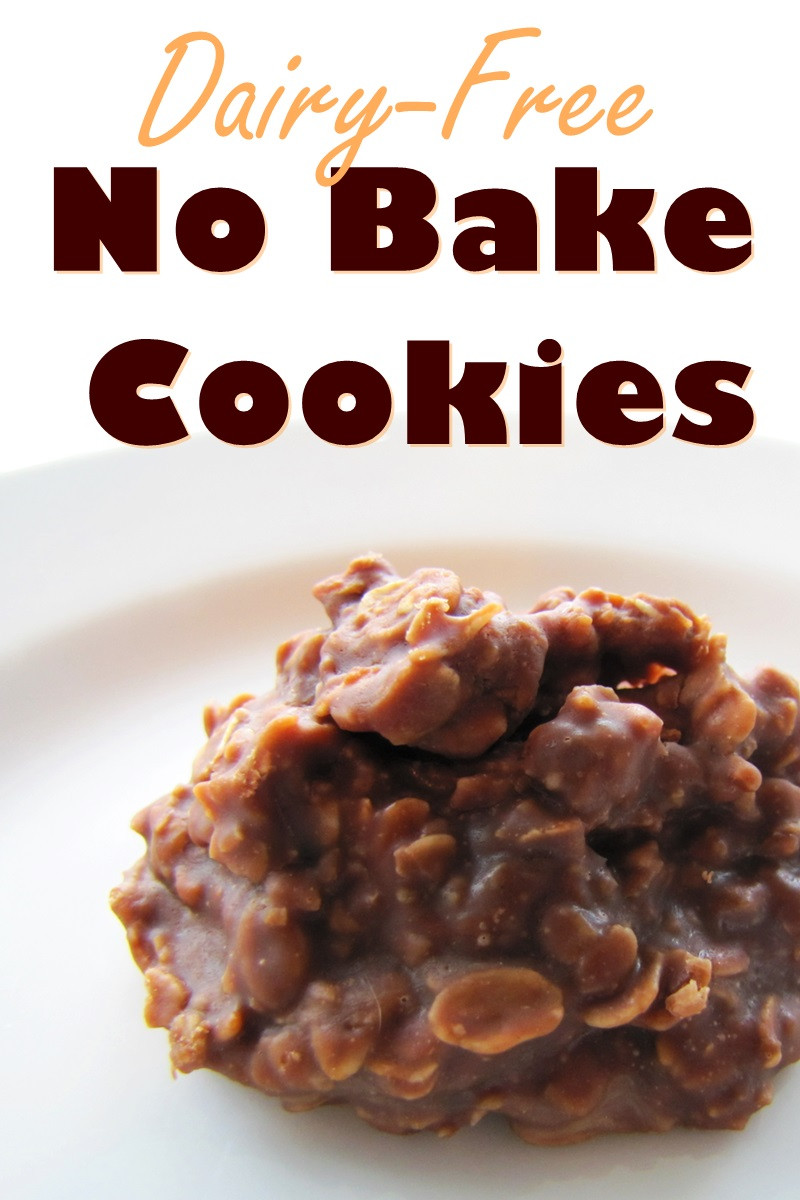 No Cook Vegetarian Recipes
 Chocolate No Bake Cookies Recipe Naturally Vegan & Dairy