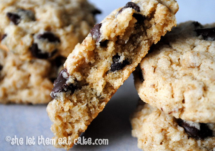 Oatmeal Chocolate Chip Cookies Gluten Free
 Over 60 Gluten Free Oatmeal Cookie Recipes