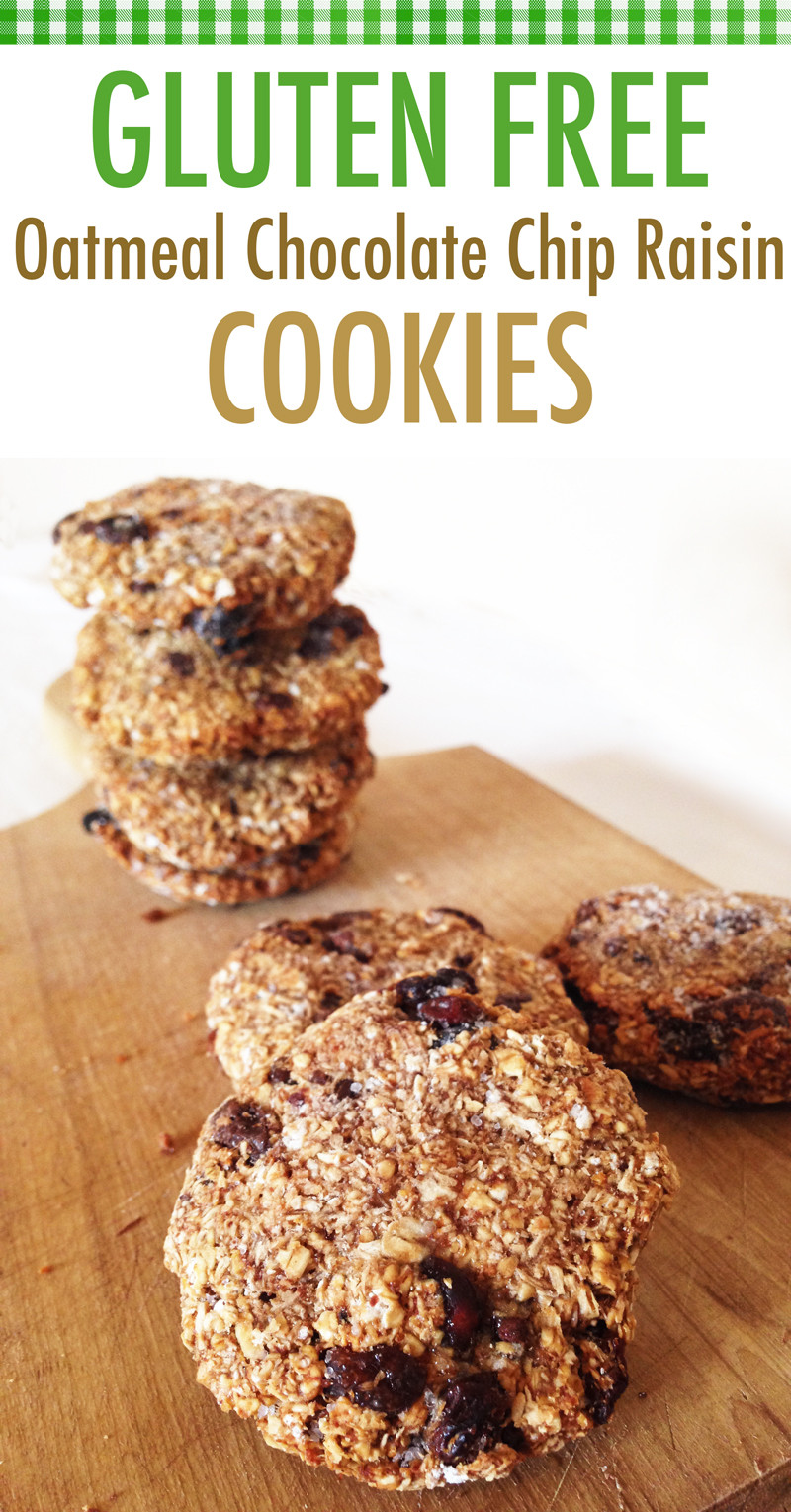 Oatmeal Chocolate Chip Cookies Gluten Free
 Gluten Free Oatmeal Chocolate Chip Cookies Recipe — Dishmaps