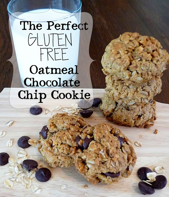 Oatmeal Chocolate Chip Cookies Gluten Free
 PaperDaisyKitchen The Best Gluten Free Oatmeal Chocolate