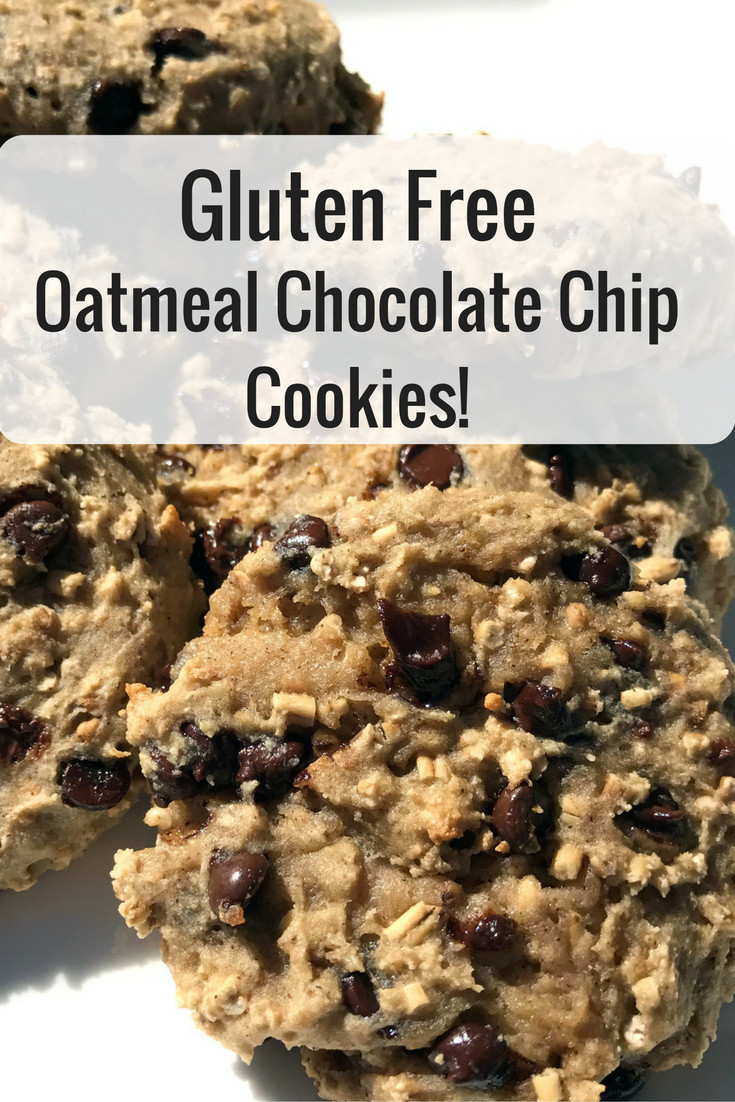 Oatmeal Chocolate Chip Cookies Gluten Free
 Gluten Free Oatmeal Chocolate Chip Cookies Teachable Mommy