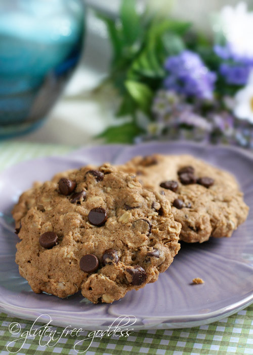 Oatmeal Chocolate Chip Cookies Gluten Free
 Gluten Free Goddess Recipes Gluten Free Oatmeal Chocolate