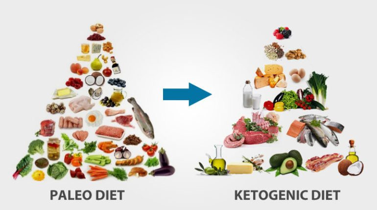 Paleo Ketosis Diet
 All you need to know about the Paleo and Ketogenic Diets