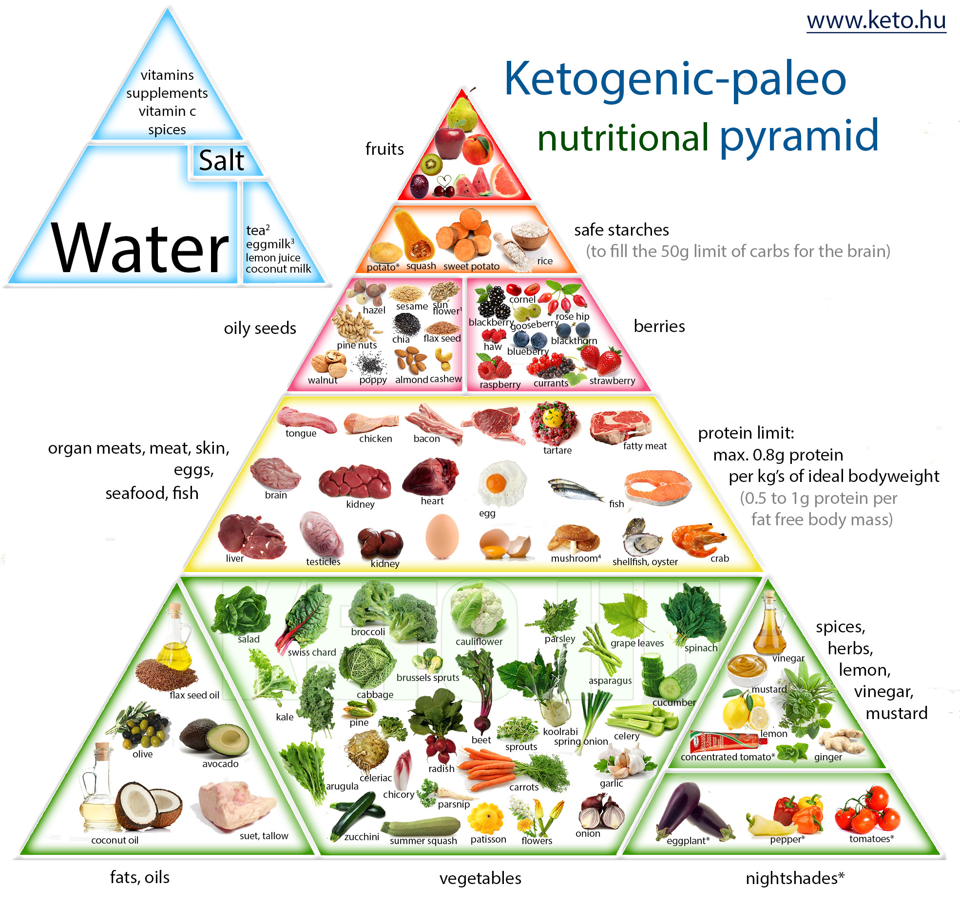 Paleo Ketosis Diet
 ketogenic paleo nutrition pyramid