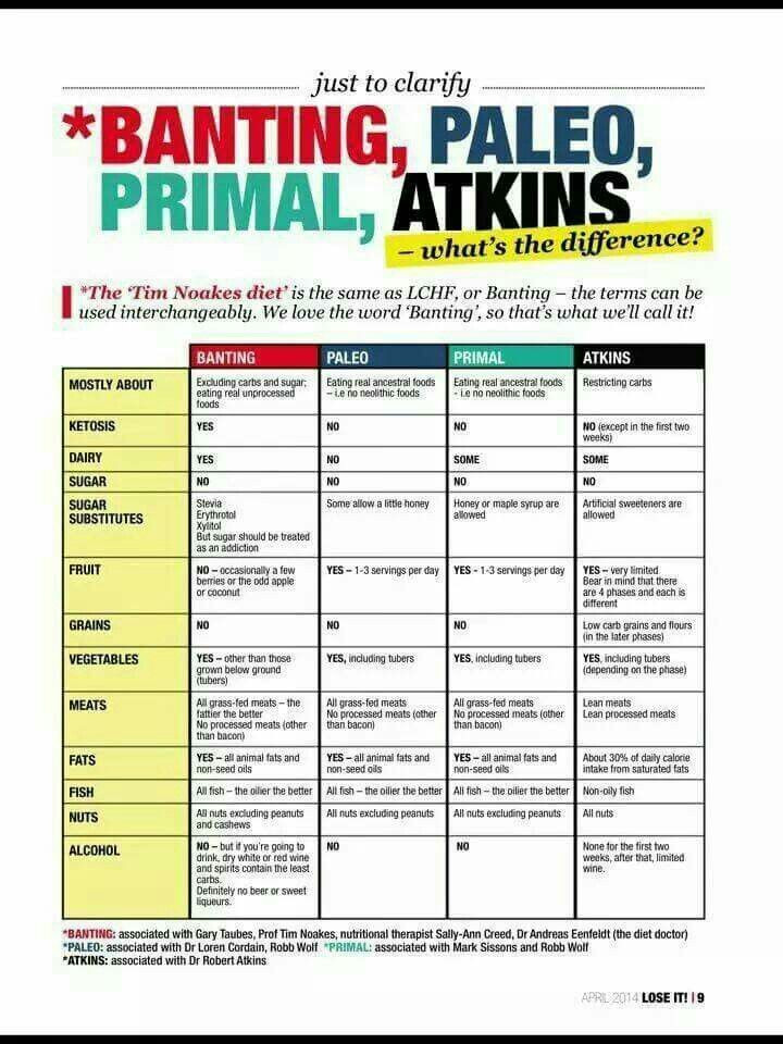 Paleo Ketosis Diet
 Differences Paleo vs Atkins low carb recipes