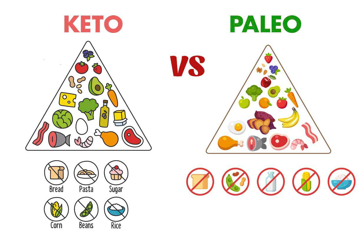 Paleo Ketosis Diet
 Keto vs Paleo How Do These Popular Diets pare