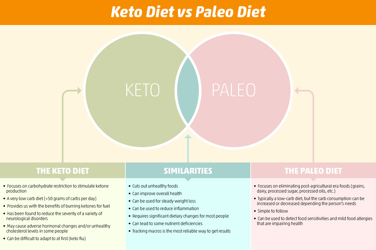 Paleo Ketosis Diet
 Ketosis Food Recipes