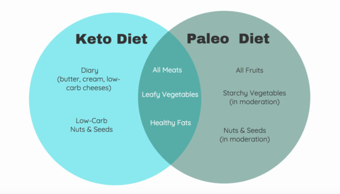 Paleo Ketosis Diet
 Paleo vs keto which t is better