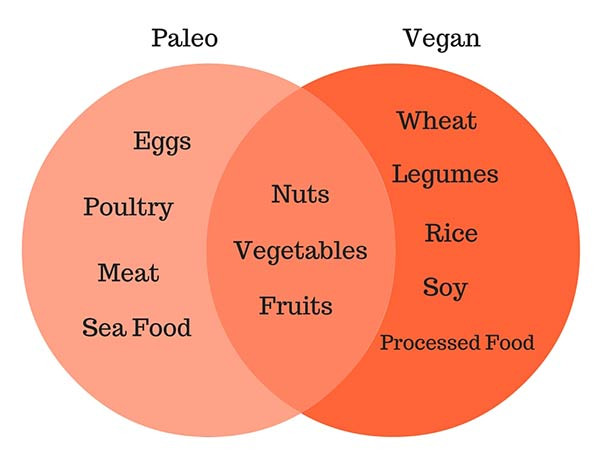 Paleo Vegan Diet
 Paleo vs Vegan – Pros and Cons – Balance pH Diet