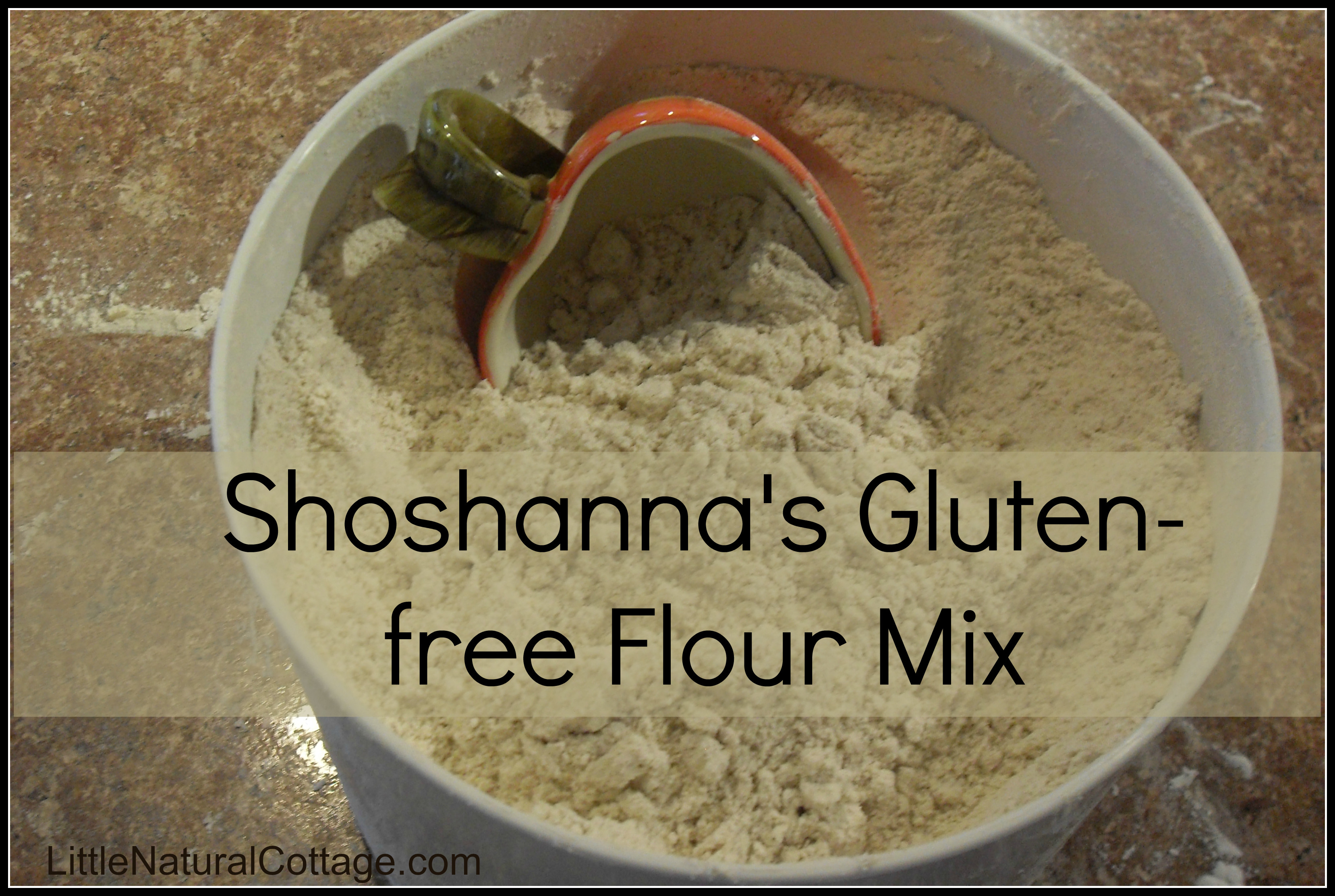 Pamela'S Gluten Free Flour Recipes
 Shoshanna s Gluten free Flour Mix DIY recipe Kristy s