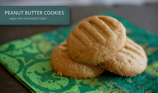 Peanut Butter Cookies For Diabetics
 Diabetic Recipes The Blue Brick