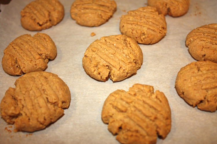 Peanut Butter Cookies Low Carb
 Low Carb Peanut Butter Cookies Busy But Healthy