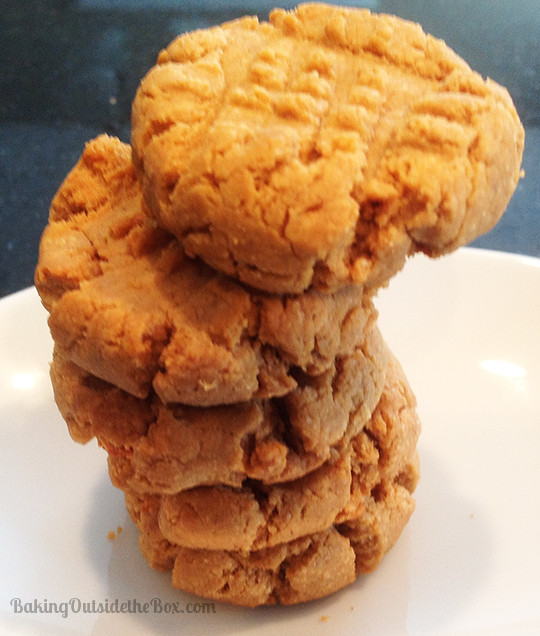 Peanut Butter Cookies Low Carb
 Best Low Carb Peanut Butter Cookie Recipe Baking Outside