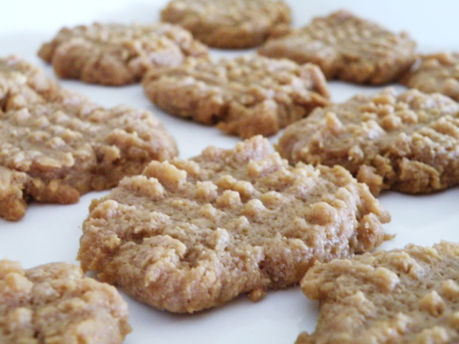 Peanut Butter Cookies Low Carb
 Super Easy Peanut Butter Cookies Low Carb & Gluten Free