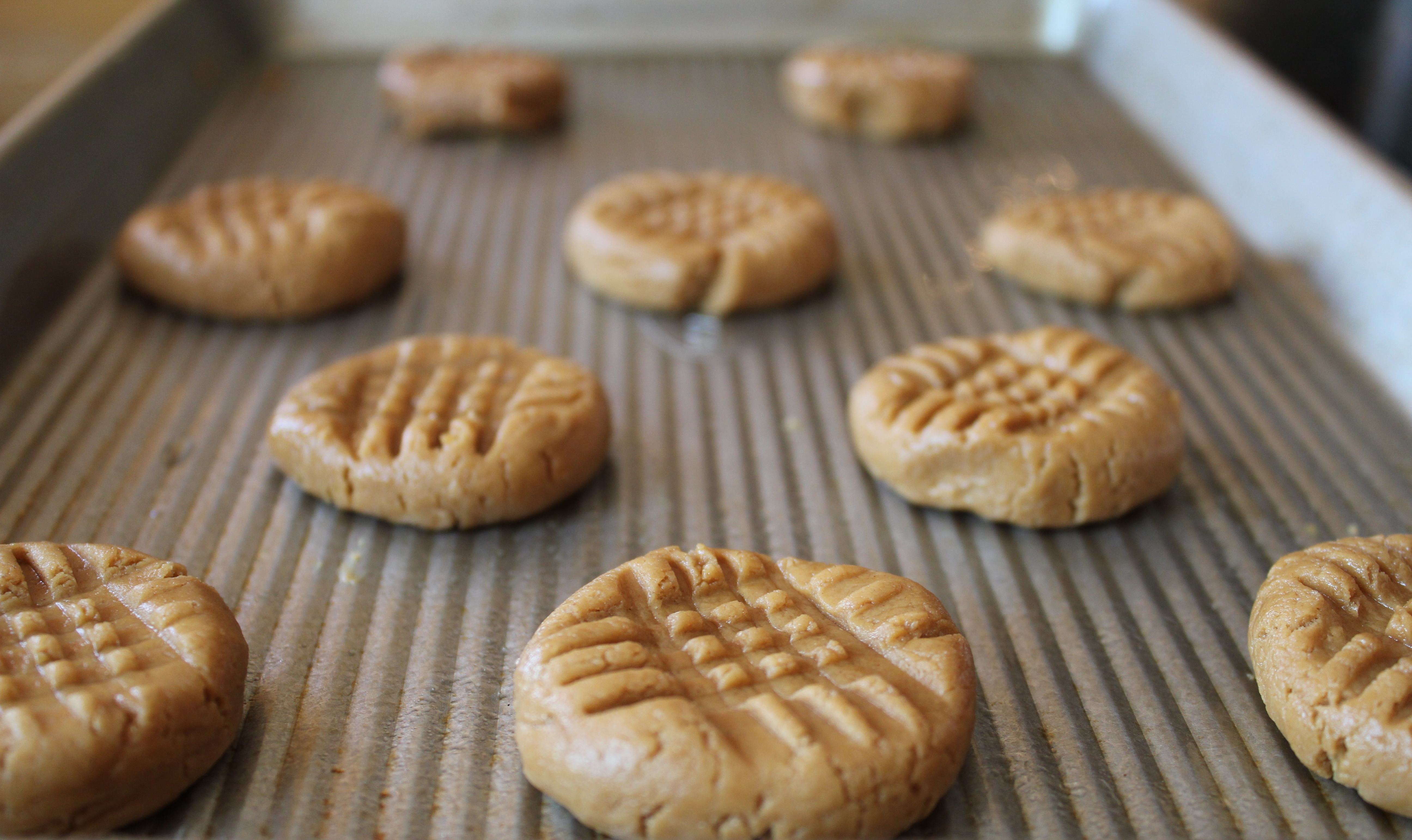 Peanut Butter Cookies Low Carb
 Low Carb Peanut Butter Cookies