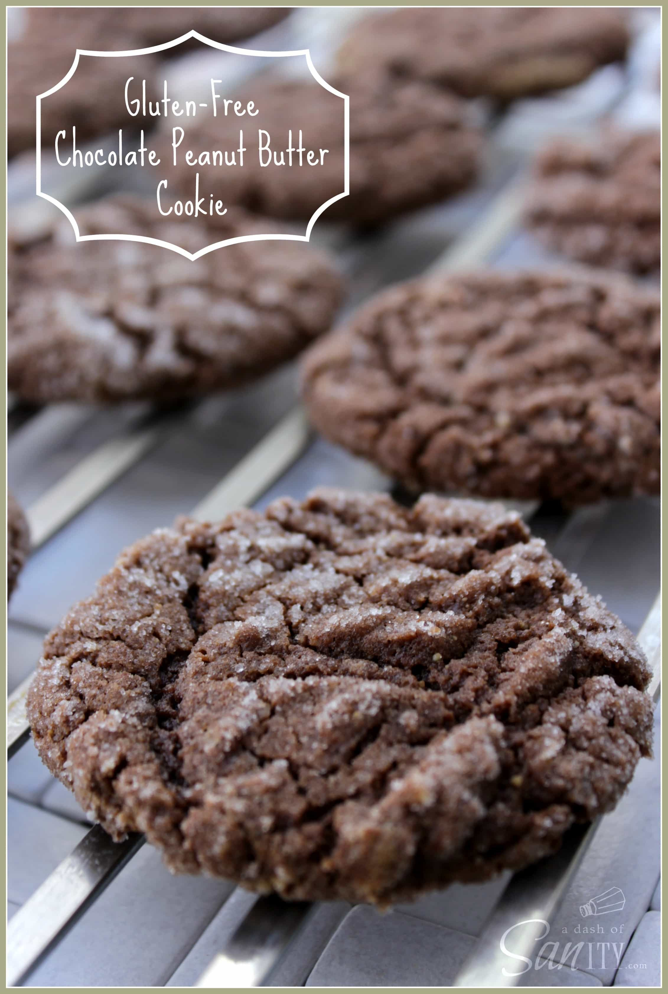 Peanut Butter Cookies Recipe Gluten Free
 Gluten Free Chocolate Peanut Butter Cookies A Dash of Sanity