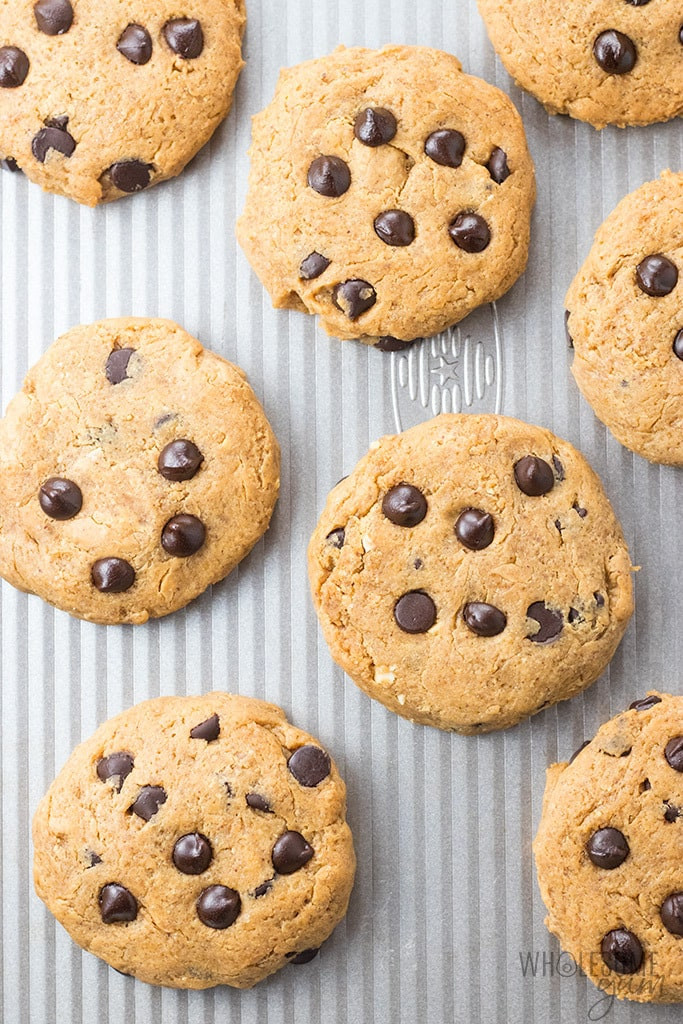 Peanut Butter Protein Cookies Low Carb
 Easy Low Carb Chocolate Chip Peanut Butter Protein Cookies