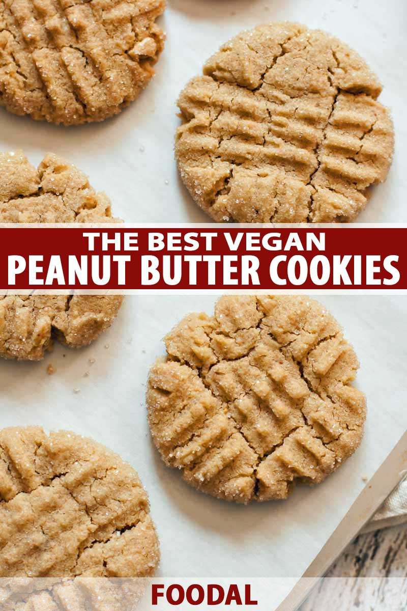 Peanut Butter Vegan Cookies
 The Best Vegan Peanut Butter Cookies