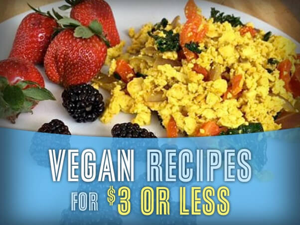 Peta Vegan Recipes
 Save Money With These 20 Vegan Recipes Under $3 – Vegan