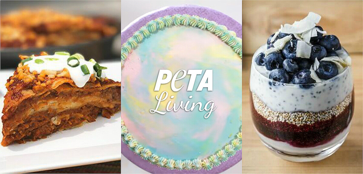 Peta Vegan Recipes
 Our Most Popular Vegan Recipes of 2018