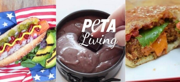 Peta Vegan Recipes
 Tasty Ve arian 10 Vegan Food Videos We Are Obsessed