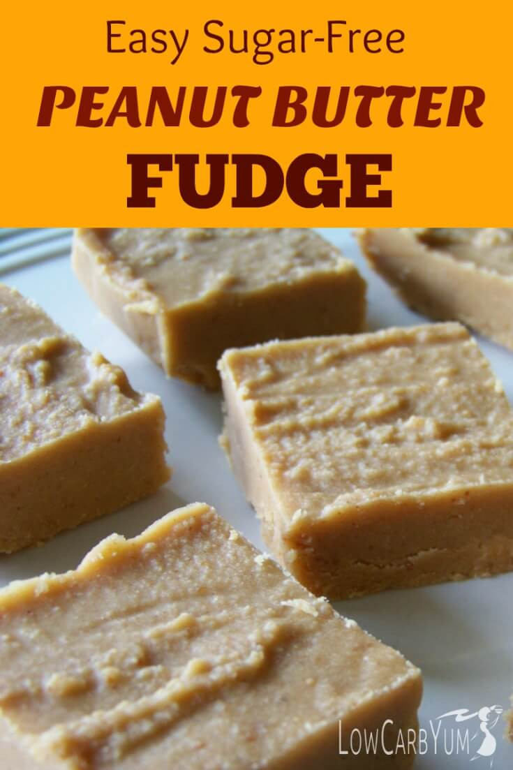 Powdered Peanut Butter Recipes Low Carb
 Easy Sugar Free Peanut Butter Fudge