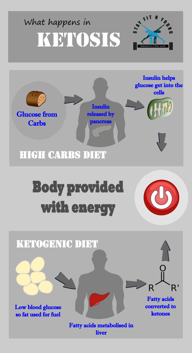 Pros And Cons Keto Diet
 Pros and Cons of a Ketogenic Diet that you should know about