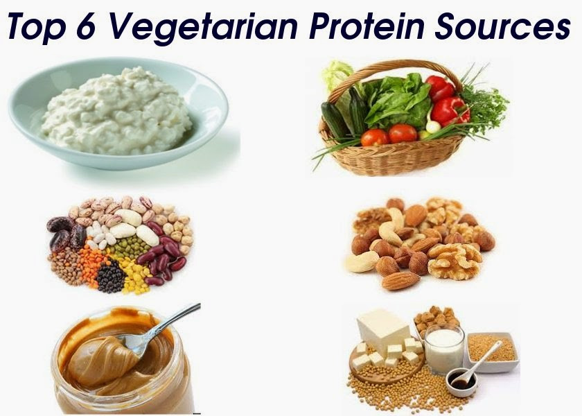 Protein Food For Vegetarian
 Top 6 Protein Sources for Ve arians Stay Healthy