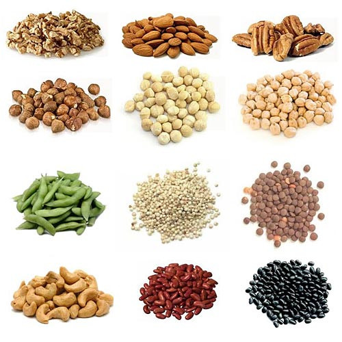 Protein Food For Vegetarian
 protein