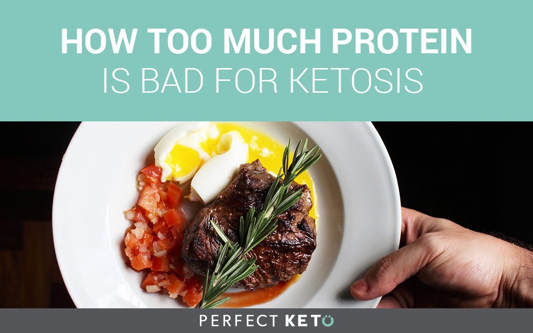Protein For Keto Diet
 How Too Much Protein is Bad for Ketosis Perfect Keto