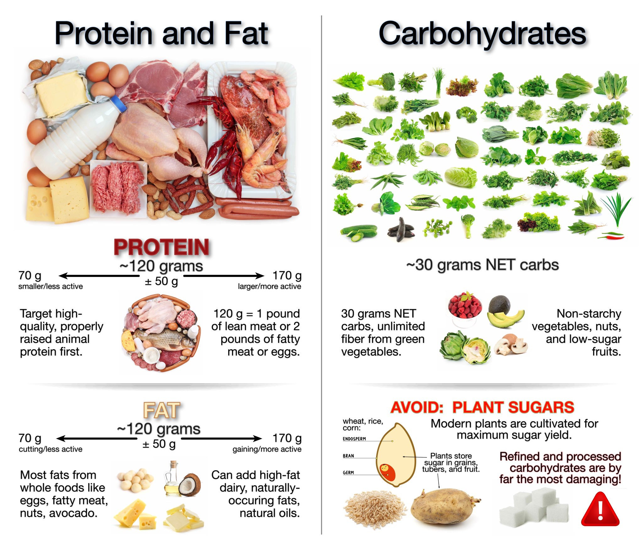 Protein For Keto Diet
 Do you think keto is healthy — MyFitnessPal