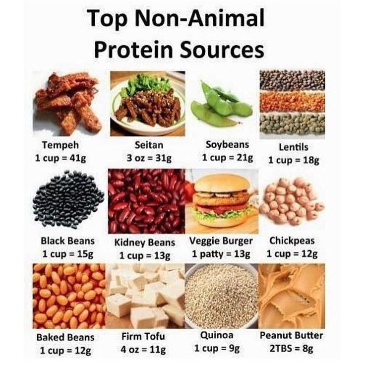 Protein Sources For Vegetarian
 Health Guru Tip of the Day You can find healthy protein