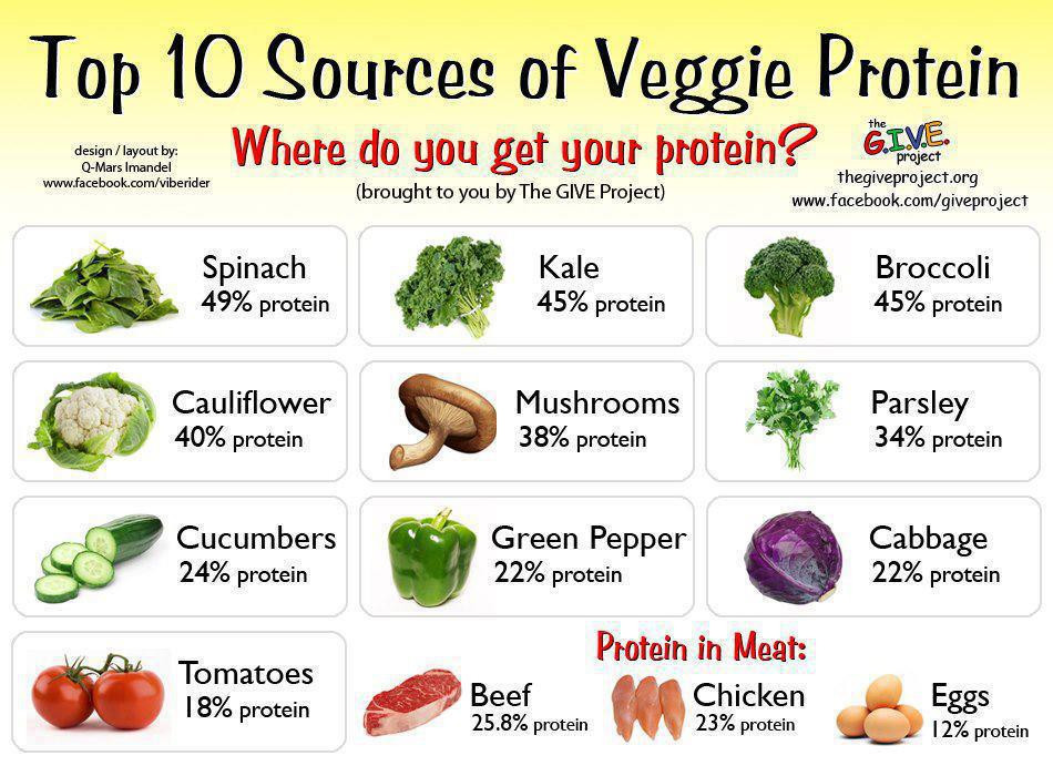 Protein Sources For Vegetarian
 Where I Get My Protein on a Raw Vegan Diet Vegan Protein