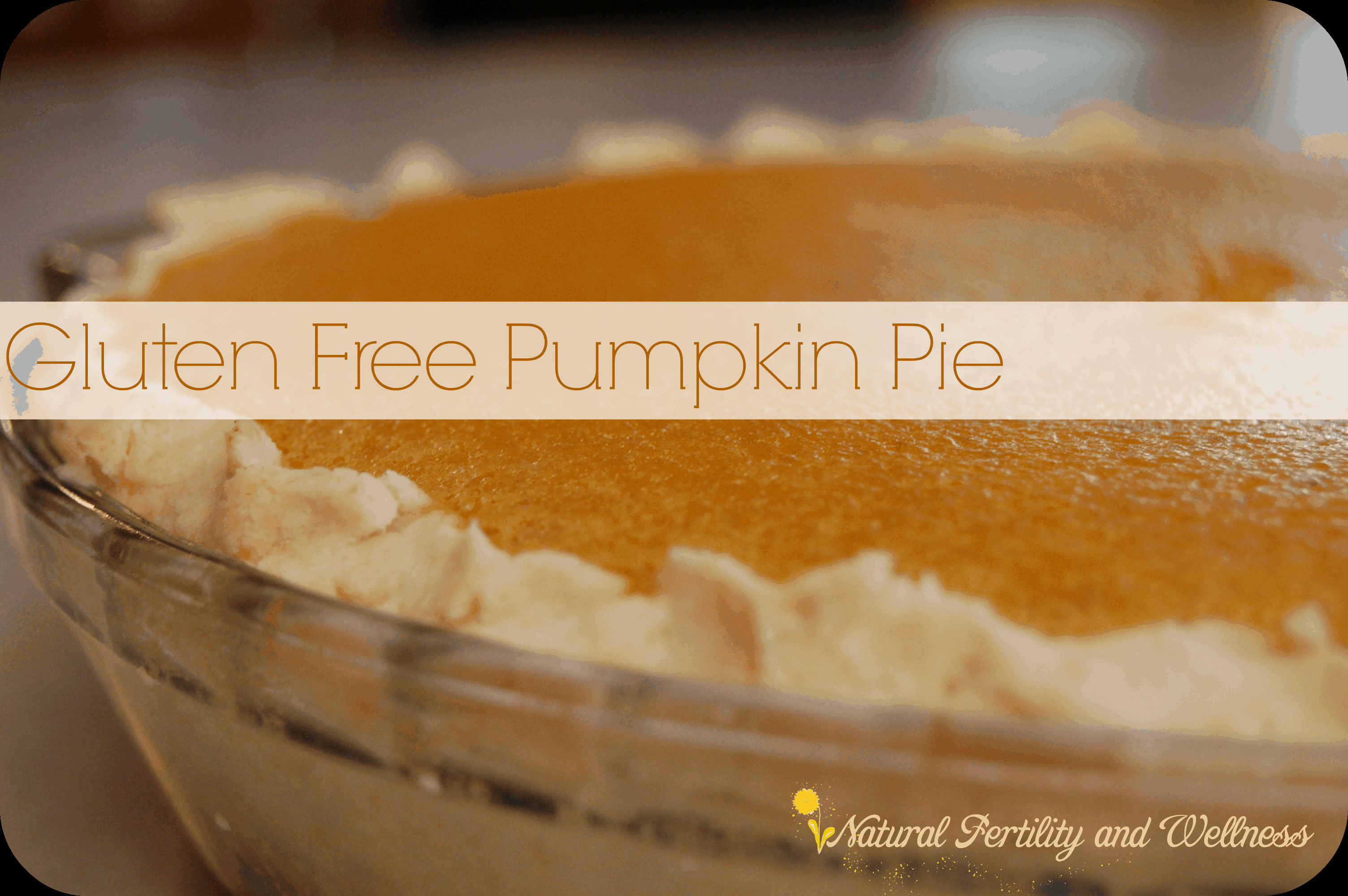 Pumpkin Pie Gluten Free
 Gluten free pumpkin pie